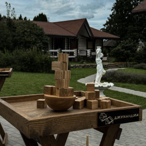 выездные деревянные игры